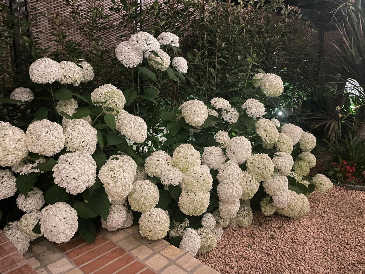 Borgata Cantone Country House B&B Garlenda Exterior foto