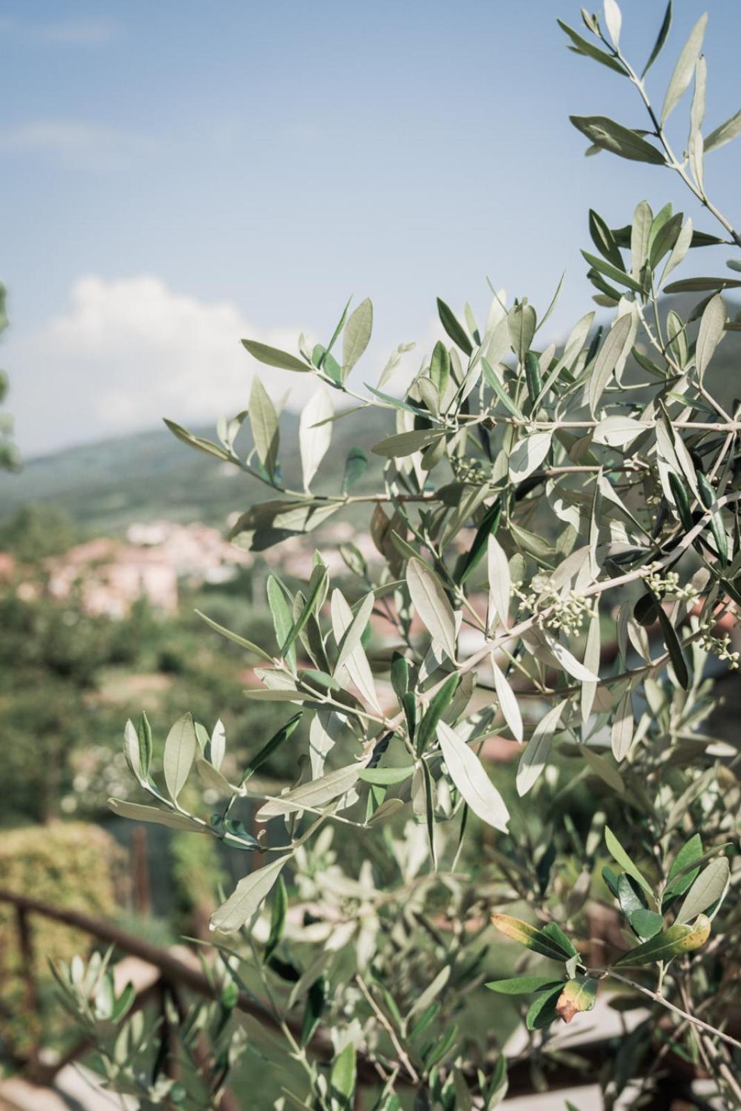 Borgata Cantone Country House B&B Garlenda Exterior foto