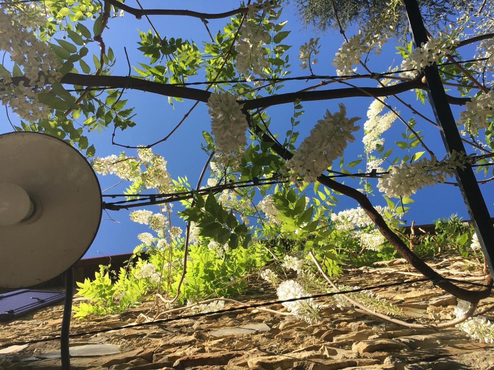 Borgata Cantone Country House B&B Garlenda Exterior foto